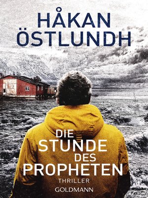 cover image of Die Stunde des Propheten